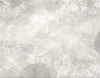 Фотообои Сухоцветы дизайнерские зеленые 33165_2