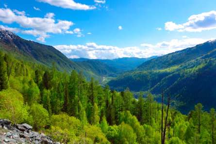 Фотообои Через горы, лес Фотообои Через горы, лес