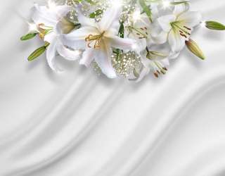 Фотошпалери Лілії на тлі атласу 22993