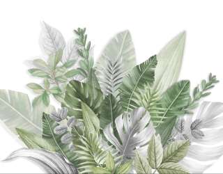 Фотошпалери Тропічні листя 31784