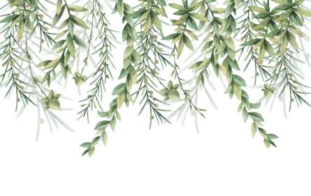 Фотошпалери Тропічні гілочки зі стелі Фотошпалери Тропічні гілочки зі стелі