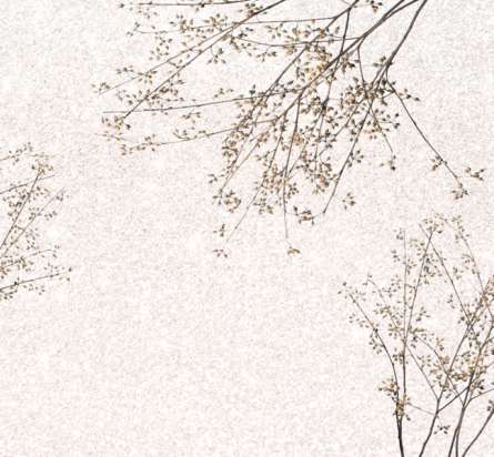 Фотообои Ветви на бежевом фоне