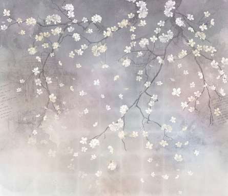 Фотообои Ветви сакуры на сером