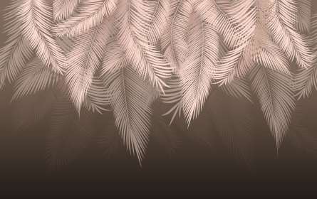 Фотошпалери пухнасті пальмове листя на стіну