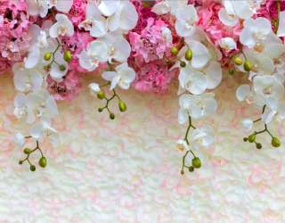 Фотошпалери квіти зі стелі 15841