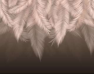 Фотошпалери пухнасті пальмове листя на стіну 31627