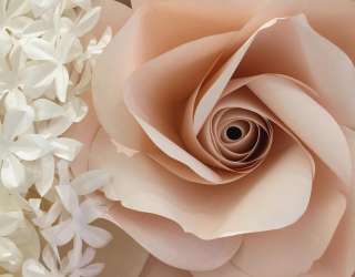 Фотошпалери велика бежева троянда з паперу 21269