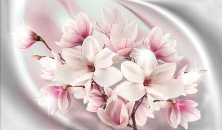 Фотошпалери Фіолетові магнолії Фотошпалери Фіолетові магнолії