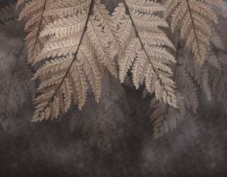 Фотошпалери коричневі листя папороті 28999