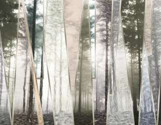 Фотошпалери 3D дерева 29672