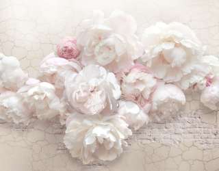 Фотошпалери Фреска з видом на набережну 23940