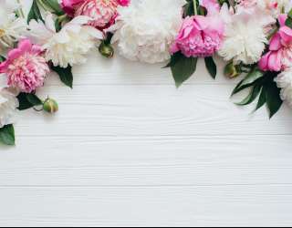 Фотошпалери Півонії зі стелі 22911