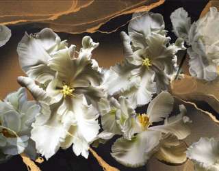 Фотошпалери махрові тюльпани 33184