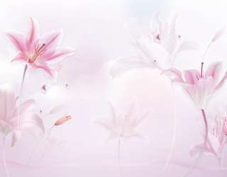 Фотошпалери Рожеві лілії 22480