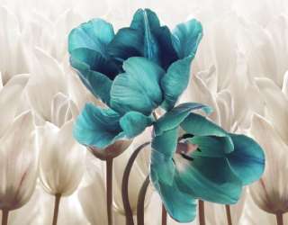 Фотошпалери тюльпани 31516