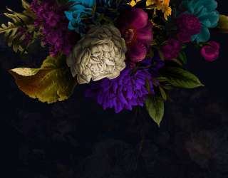 Фотошпалери квіти під стелею 29655