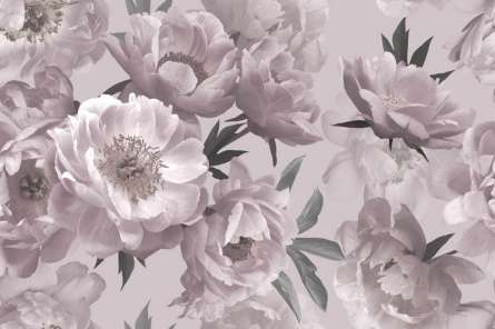 Фотообои Пудровые цветы