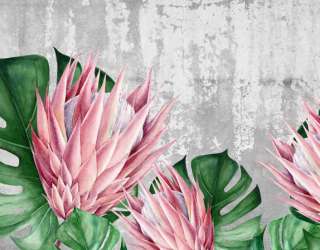 Фотошпалери квіти протеї 30011