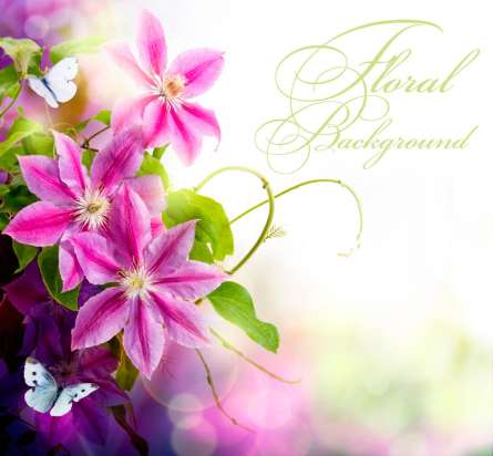 Фотошпалери Бузковий квітник