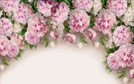 Фотошпалери Рожеві півонії Фотошпалери Рожеві півонії