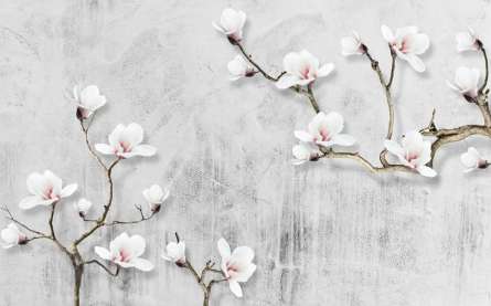 Фотошпалери гілки магнолії Фотошпалери гілки магнолії