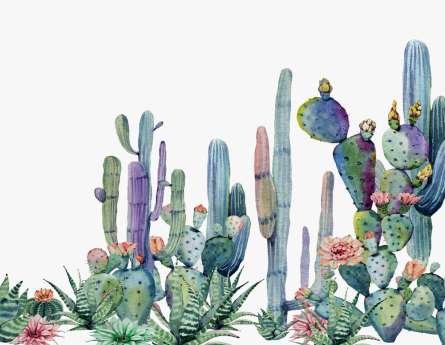 Фотошпалери тропічні Кактуси