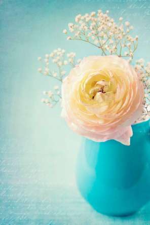 Фотообои Пион белый в вазе