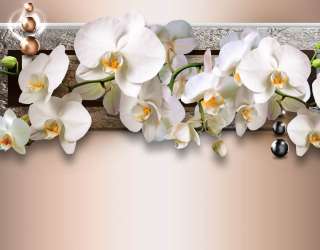 Фотошпалери 3д гілка орхідей 22979