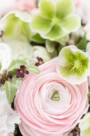 Фотошпалери лютик Фотошпалери лютик