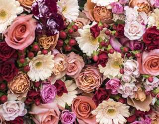 Фотошпалери квіти і ягоди 21117