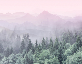 Фотошпалери ліс з рожевими горами 28773