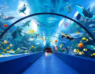 Фотообои большой аквариум 26745
