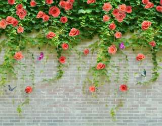 Фотошпалери Троянди на цегляній стіні 22944