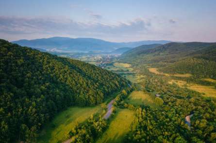Фотошпалери вид на гори, ліс