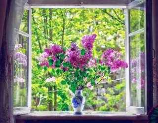 Фотошпалери бузок у вазі на вікні 21074