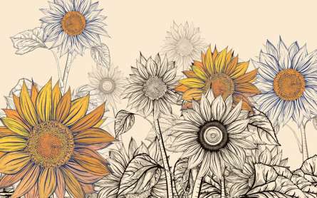 Фотошпалери Соняшники