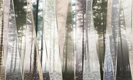 Фотошпалери 3D дерева