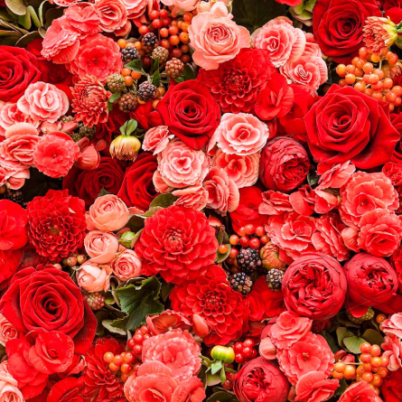 Фотошпалери Букет червоних квітів