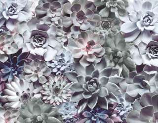 Фотошпалери 3D квіти 17623