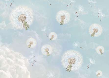 Фотообои Воздушные одуванчики Фотообои Воздушные одуванчики