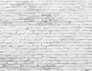 Кирпичная стена 0110_2000х1000