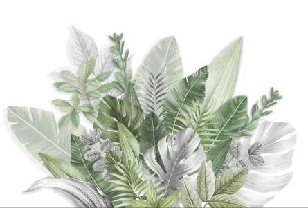 Фотошпалери Тропічні листя