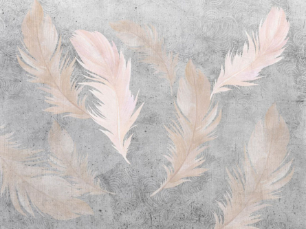 Фотошпалери рожеві пір'я на тлі бетону. Фотошпалери рожеві пір'я на тлі бетону.