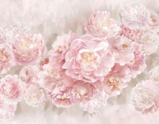 Фотошпалери Рожеві півонії 33182