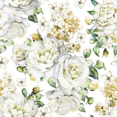 Фотошпалери білі троянди на білому тлі Фотошпалери білі троянди на білому тлі