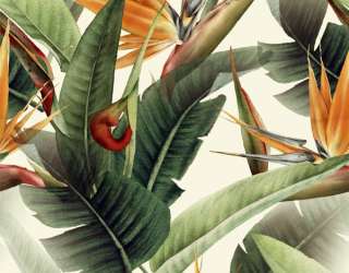 Фотошпалери патерн з стреліції 29367