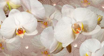 Фотошпалери 3D квіти Фотошпалери 3D квіти