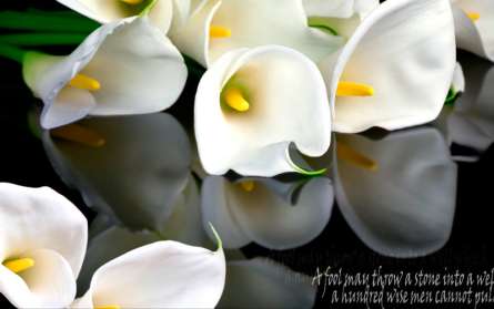 Фотошпалери 3D квіти Фотошпалери 3D квіти