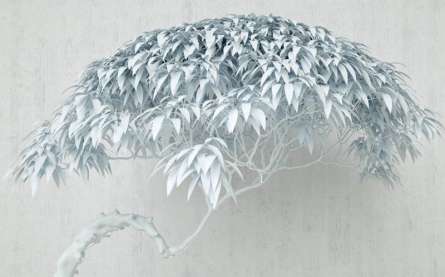 Фотошпалери дерево Фотошпалери дерево