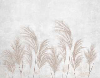 Фотошпалери сухостій 31738